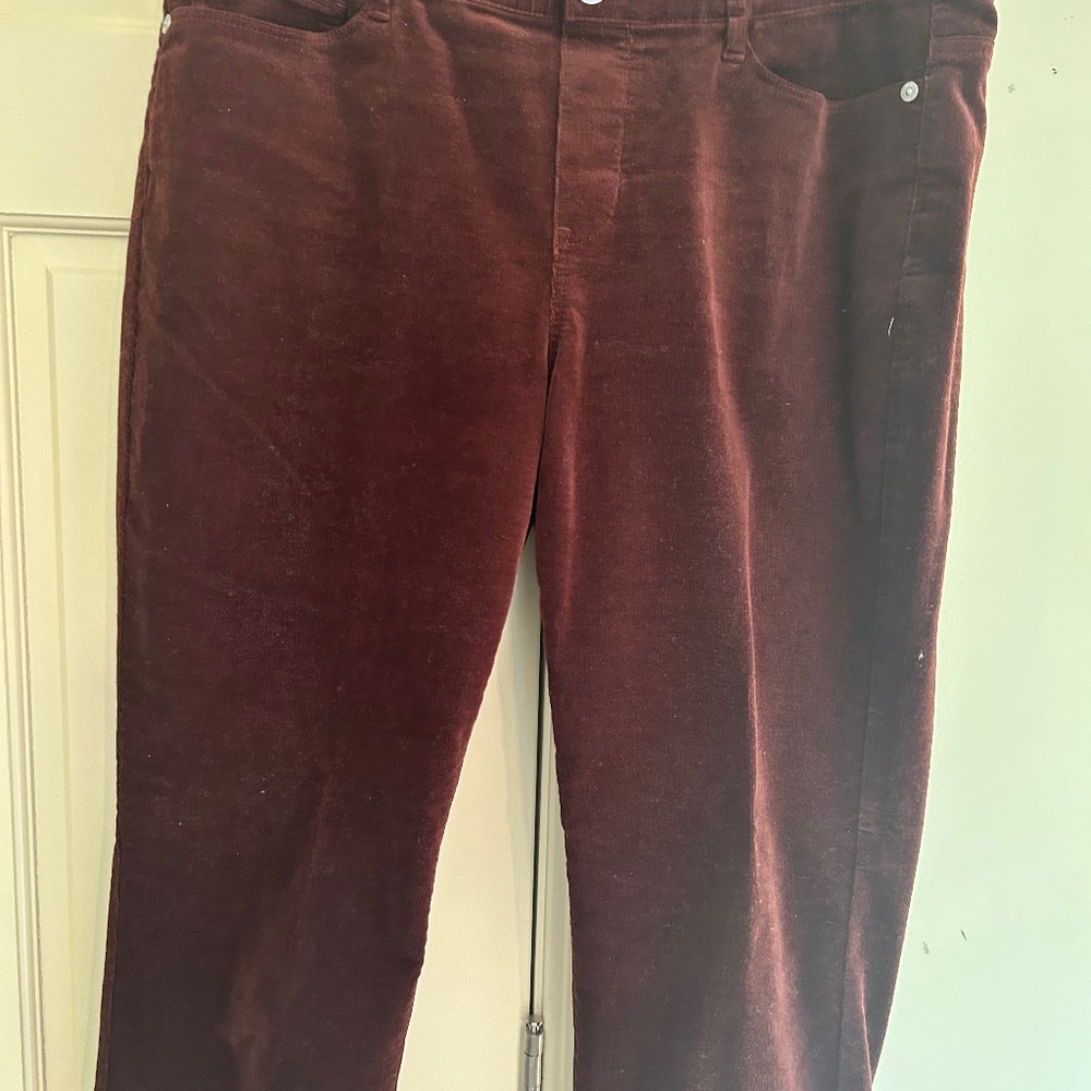 J Jill brown pull-on corduroy pants size MP